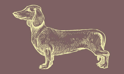 A dachshund mascot.